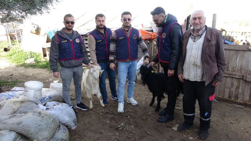 Oğlak &ouml;ld&uuml;, hırsızların planı bozuldu: Jandarma 4 kişiyi g&ouml;zaltına aldı - Resim : 3