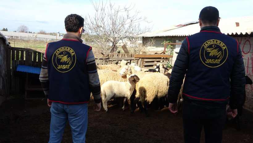 Oğlak &ouml;ld&uuml;, hırsızların planı bozuldu: Jandarma 4 kişiyi g&ouml;zaltına aldı - Resim : 5