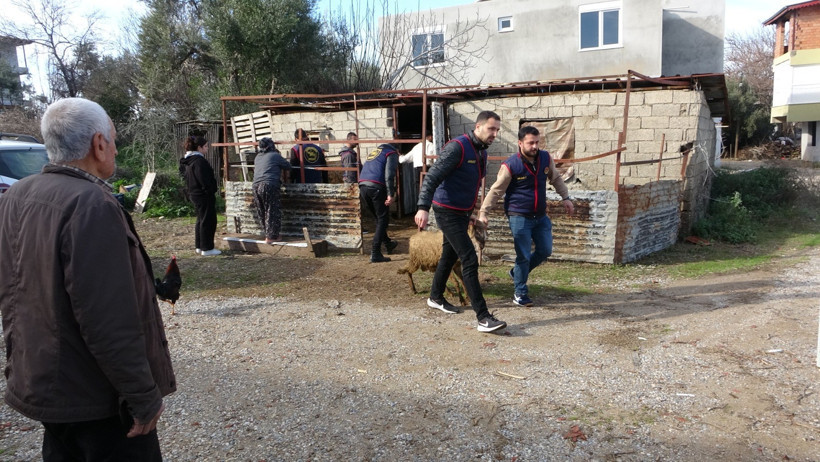 Oğlak &ouml;ld&uuml;, hırsızların planı bozuldu: Jandarma 4 kişiyi g&ouml;zaltına aldı - Resim : 6
