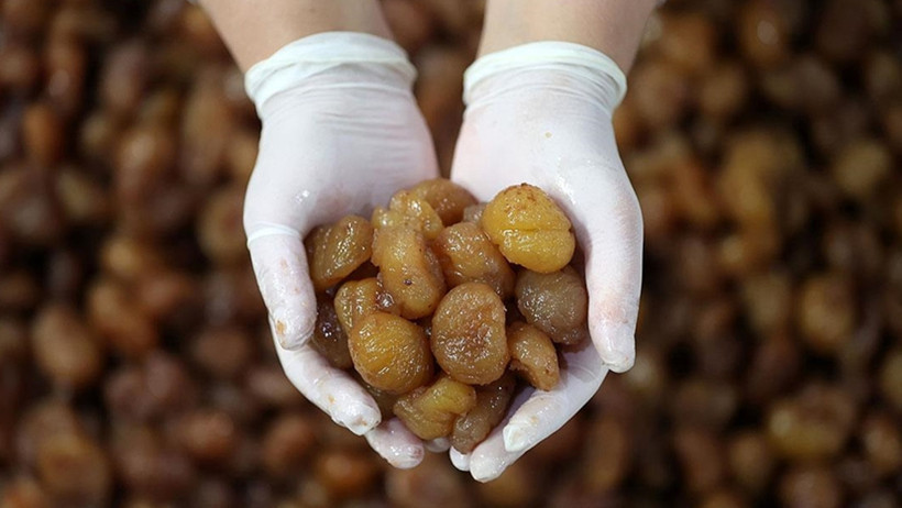 Evde kestane şekeri yapmanın altın kuralları: Dağılmayan lezzet - Resim : 1