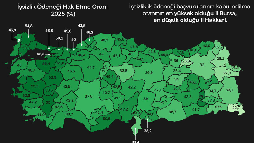 İşsizlik &ouml;deneğinde tablo: Her iki kişiden biri hak kazanamıyor - Resim : 1
