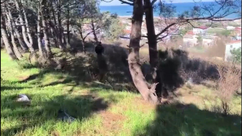 Hem canını hem parası aldı: Bacanağın vahşi tuzağı: Her detayı kan dondurur - Resim : 6