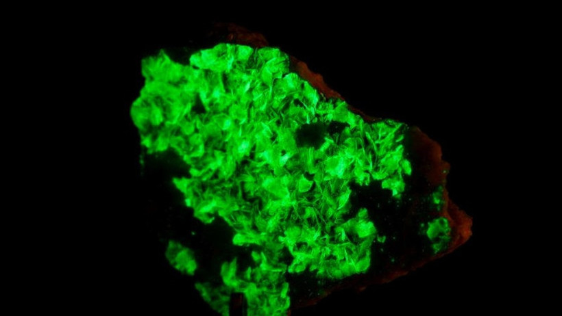 Altını tahtından indirdi: Gramı servet değerinde olan Kaliforniyum nedir? - Resim : 2