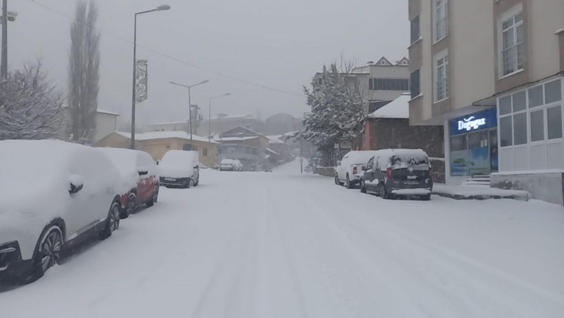 Kar ve tipi vurdu: Sınırda TIR kuyruğu: Ilgar Geçidi'nde ulaşım felç - Resim : 1