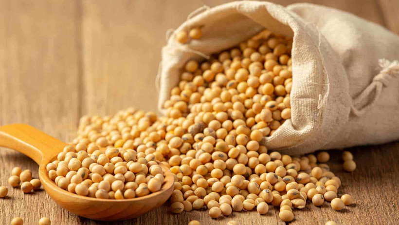 Protein bombası soya fasulyesi: Faydaları kadar zararları da var - Resim : 2