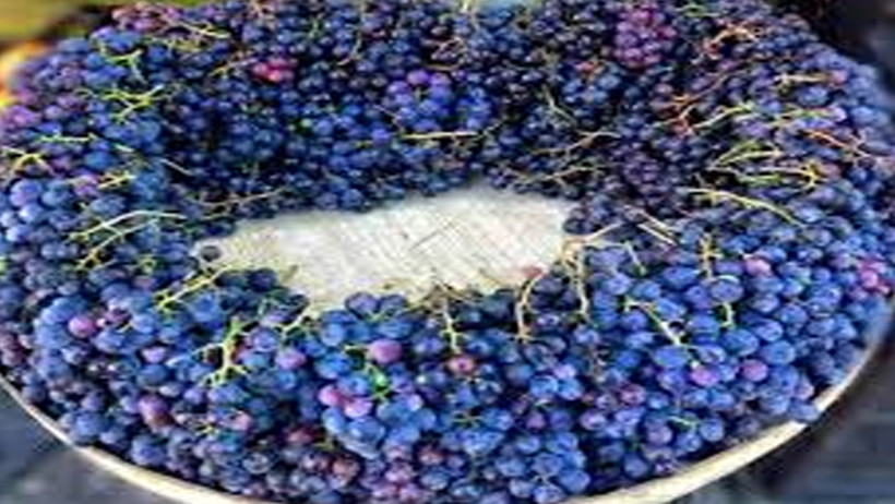 Karadeniz'in mor mucizesi: Pepeçura tatlısı evde nasıl yapılır? - Resim : 1