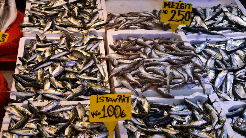 Trabzon’da tezgâhların gözdesi istavrit ve mezgit - Resim : 1