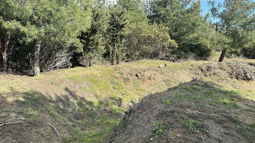 Korktukları şey &ouml;l&uuml;m değil, unutulmaktı: &Ccedil;anakkale&rsquo;nin gizli g&uuml;nl&uuml;kleri: 111 yıl &ouml;nce atılan imza - Resim : 4