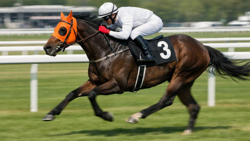 Aşevinde yarış atı skandalı: Vahap Seçer’den ilk açıklama - Resim : 1