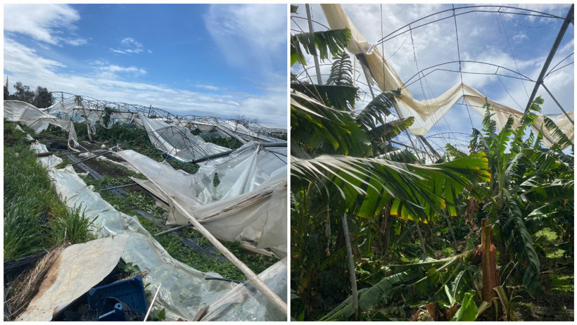 Mersin'de dolu ve fırtına tarım alanlarına zarar verdi - Resim : 2