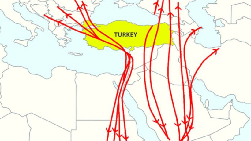 Savaşın görünmez kurbanları: Kuş göçü tehlikede - Resim : 1