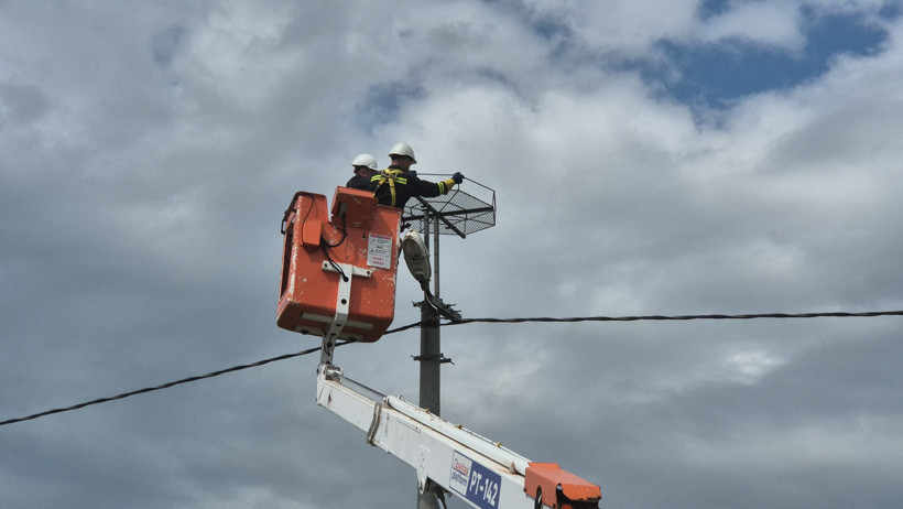 Leylekler için ölüm hattından güvenli yuva - Resim : 2