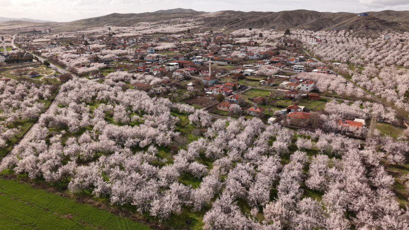 Dünyanın gözü bu ovada: Malatya beyaz gelinliğini giydi - Resim : 3