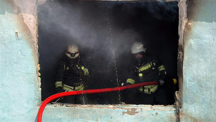 Sokak köpeği kalabalığa daldı: Yangın yerinde can pazarı - Resim : 2