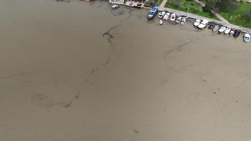 Haliç kahverengi tabakaya büründü: Uzmanından kritik uyarı - Resim : 2