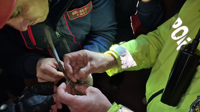 Gökyüzünün misafiri için trafik durduruldu: Polis ve itfaiye seferber oldu - Resim : 2