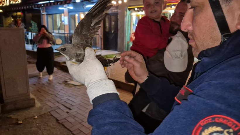 Gökyüzünün misafiri için trafik durduruldu: Polis ve itfaiye seferber oldu - Resim : 1
