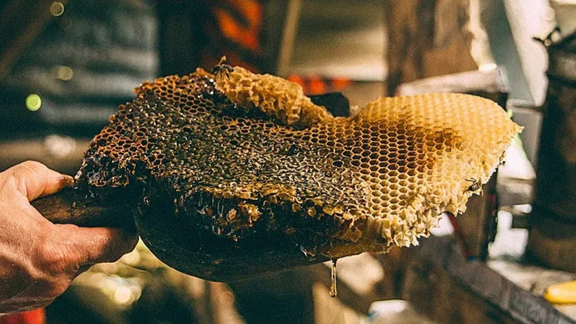 Artvin’de mağaradan çıkan servet: Kilogramı 264 bin TL’ye satılıyor - Resim : 1