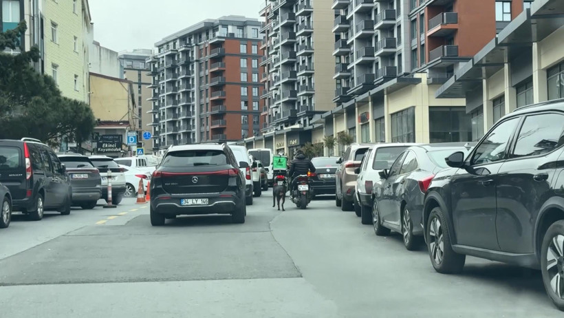 Seyrantepe’de utanç verici anlar: Can dostuna yaptığının bedelini ödedi - Resim : 1