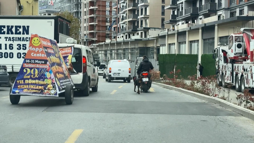 Seyrantepe’de utanç verici anlar: Can dostuna yaptığının bedelini ödedi - Resim : 3