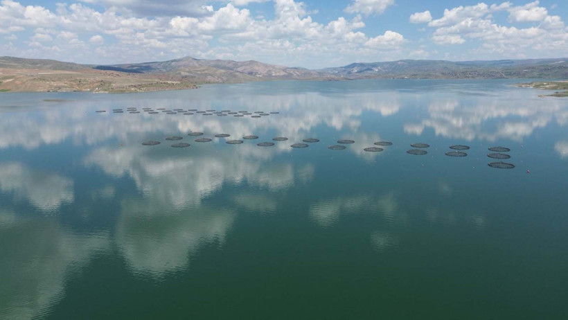 Denizi olmayan şehirden 49 ülkeye balık ihracatı: Günlük tam 100 ton - Resim: 1