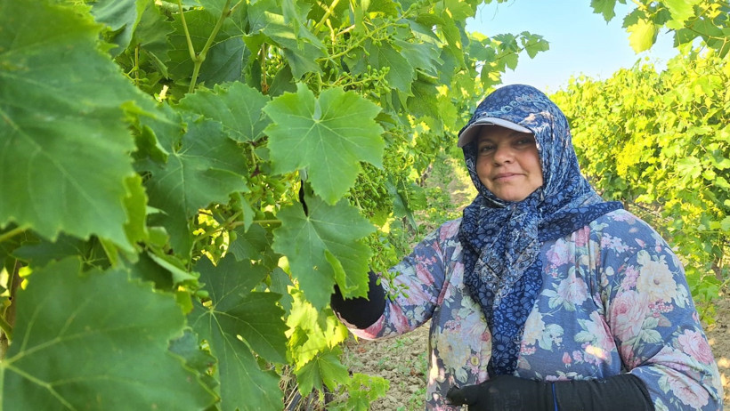 Günlük 1300 TL kazanç sağlıyorlar: 1 ayda asgari ücretten fazla kazanıyorlar - Resim : 2