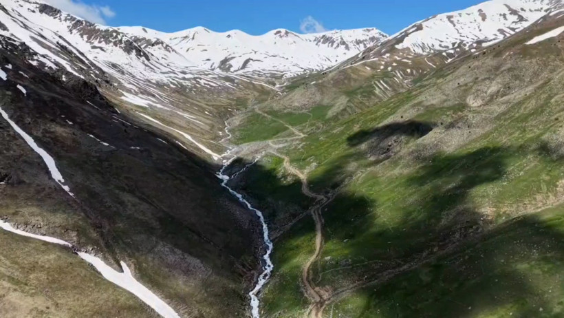 Kaçkarlar’da gizemli buluşma: Beyaz örtü rengârenk çiçeklerle buluştu - Resim : 3