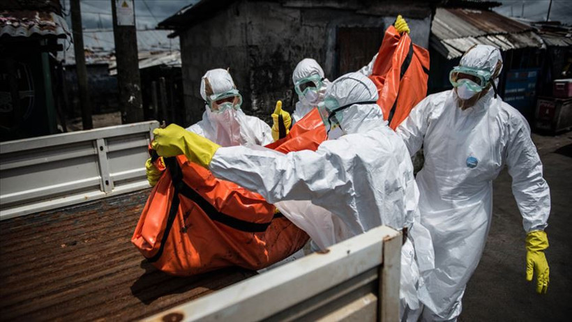 Fransa'da Ebola alarmı: İlk vaka tespit edildi - Resim : 1