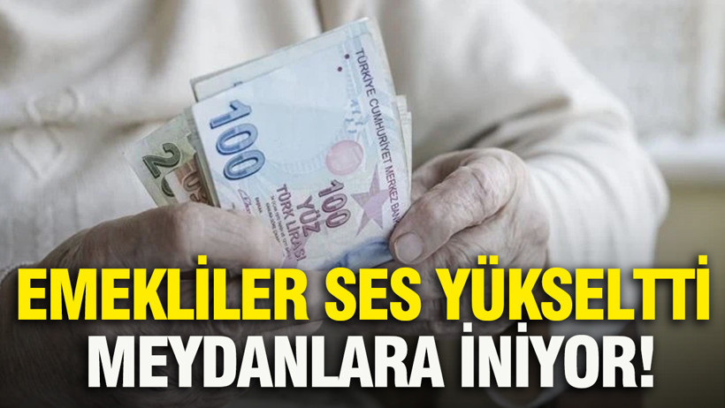 Emekliler ses yükseltti, meydanlara iniyor - Resim : 1
