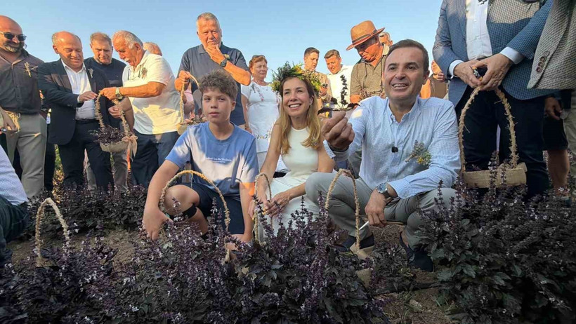 Burhaniye'de ilk kez üretildi, kilosu 850 TL'den satılıyor - Resim : 1
