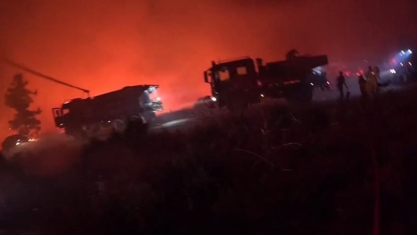 Muğla’daki yangınların yürek yakan bilançosu açıklandı - Resim : 3