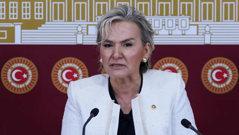 Parayı veren düdüğü çaldı: Nimet Özdemir geçmişi sildi, botları saldı - Resim : 2