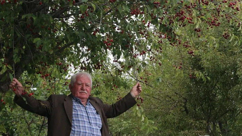 Mühendisin tavsiyesiyle başladı: Bu yıl 3 ton hasat edecek - Resim: 8
