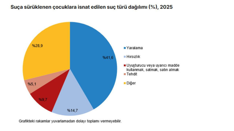 TÜİK suça sürüklenen çocukların karnesini açıkladı: Yaralama, hırsızlık, tehdit… - Resim : 2