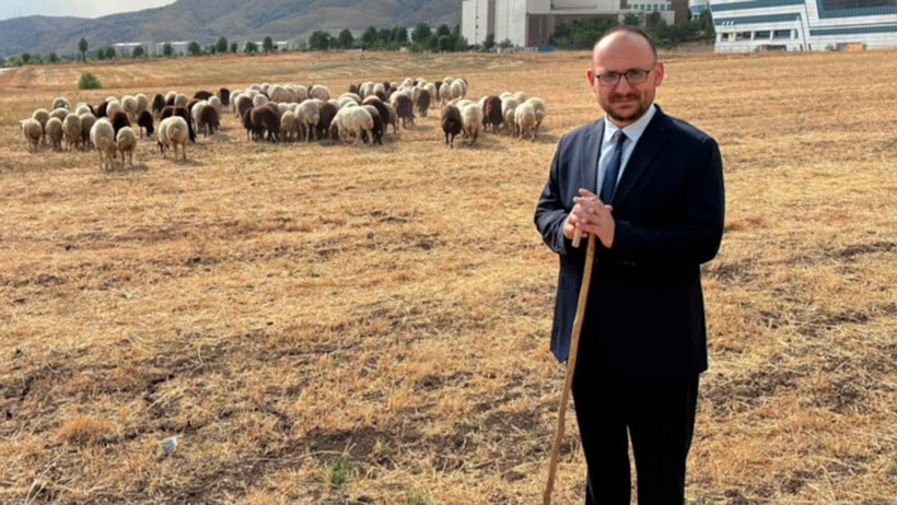 Rektörün 'koyun' paylaşımı AK Parti'yi kızdırdı: Koyun sürüsü mesaide - Resim : 1