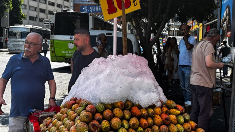 Serinleten 'dikenli incir'e ilgi yoğun - Resim : 1