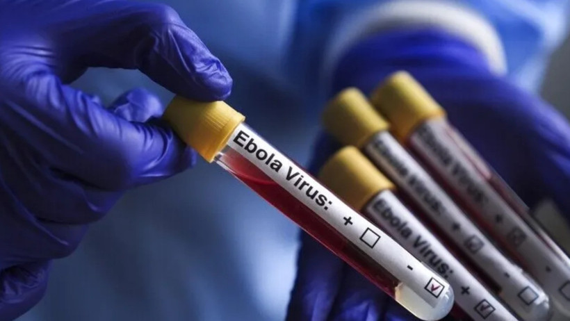Ebola alarmı büyüyor: Vaka sayısı 5 bini aştı, ölümler 2 binin üzerine çıktı - Resim : 4