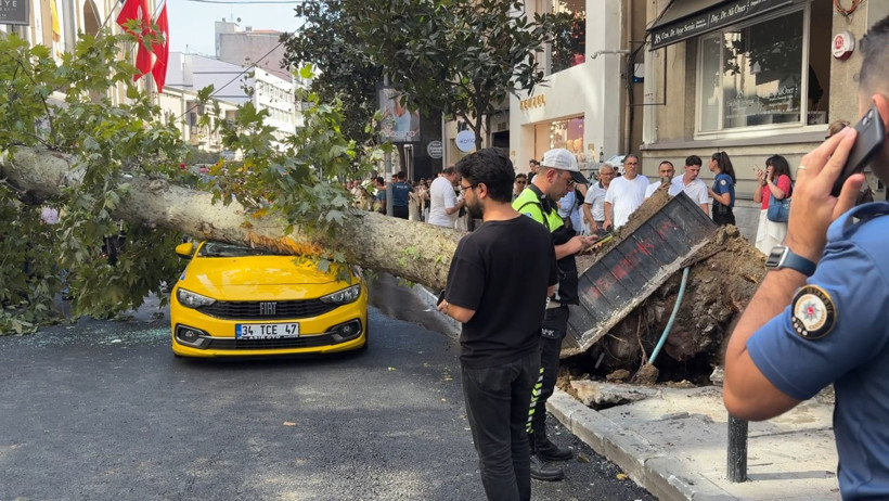 Harbiye’de ulaşım kilitlendi: Devrilen ağaç iki aracı ezdi: Ekipler seferber oldu - Resim : 5