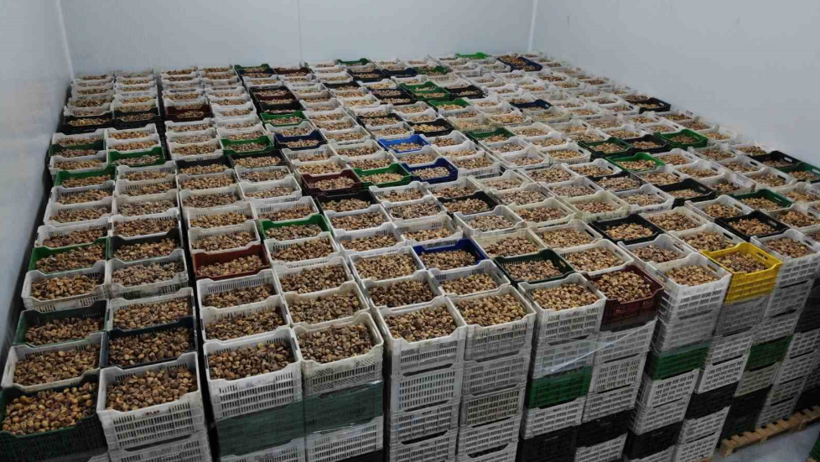 Rekolte düştü ama talep patladı: Kilogramı 300 TL'den kapış kapış satılıyor - Resim: 20
