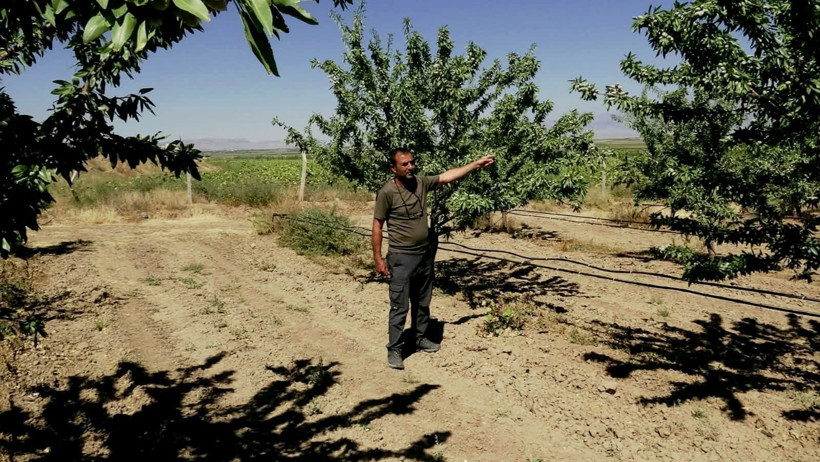Bakımı zor, ama getirisi bol: Beynin ve kemiklerin dostu - Resim: 3