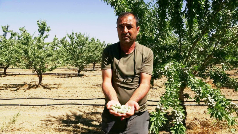 Bakımı zor, ama getirisi bol: Beynin ve kemiklerin dostu - Resim: 4