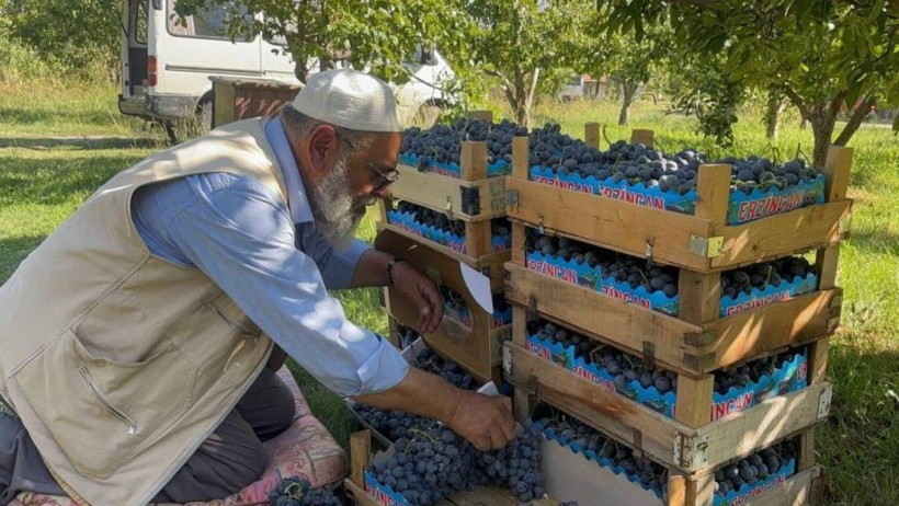 200 yıllık topraklarda hasat başladı: Kilosu 200 liradan satılıyor - Resim: 5