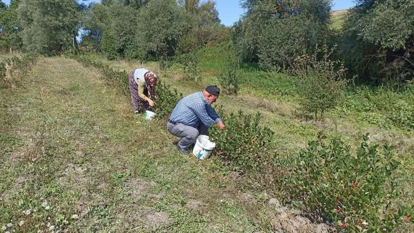 Emekli çift devlet desteğiyle kurdu: Taleplere yetişemiyorlar - Resim : 3