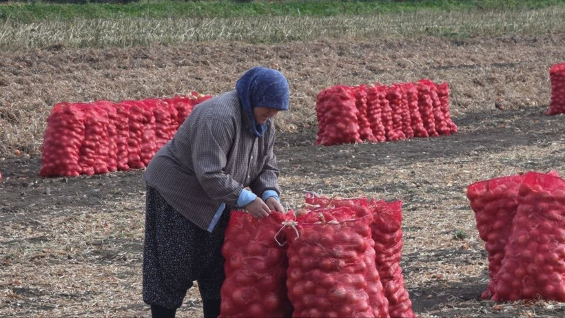 Tarlada 15 TL'den peynir ekmek gibi satıyor: Tam 100 yıllık gelenek - Resim: 4