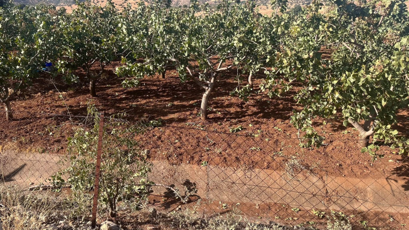 Çuvaldaki detay jandarmayı hırsızlara götürdü - Resim : 2