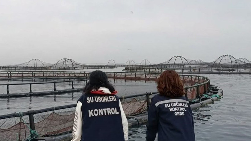 Karadeniz'in lezzet kalesi mercek altında: 28 milyon euroluk üretime sıkı takip - Resim : 2