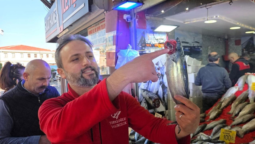 Karadeniz'de palamut istilası iddiası: Diğer canlılara yaşam alanı bırakmıyor - Resim : 2