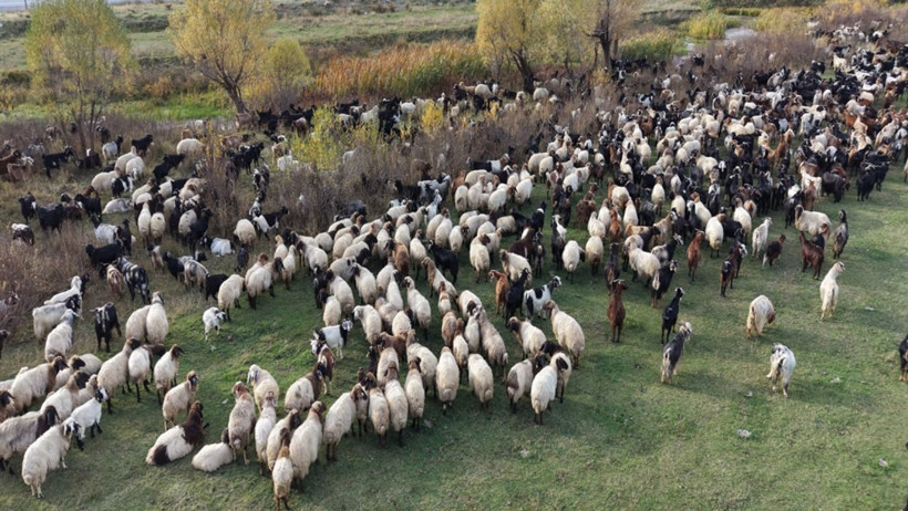 Van ve Bitlis’te göçerlerin zorlu dönüş yolculuğu başladı - Resim : 1