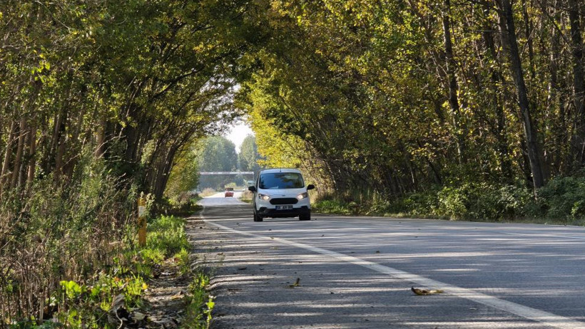 Tokat Pazar-Zile yolunda sonbahar manzarası: Kavaklar doğal tünel oluşturdu - Resim : 3