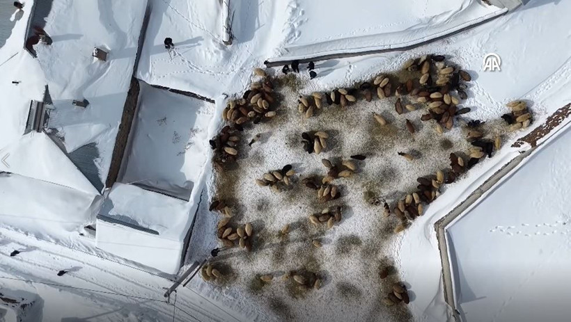 Bitlis’in gizli cenneti kar altında Süphan Dağı ve Aygır Gölü’nün dronla çekilen muhteşem hali... - Resim: 9